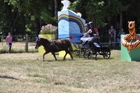 Répertoires photos des concours d'attelage des 10 et 11 Août 2024