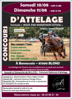 Concours d'attelage des 10 et 11 Août 2024